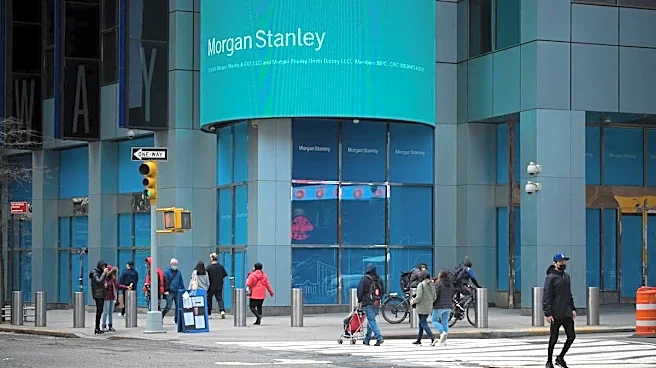 Morgan Stanley shares key IPO realities for new investors