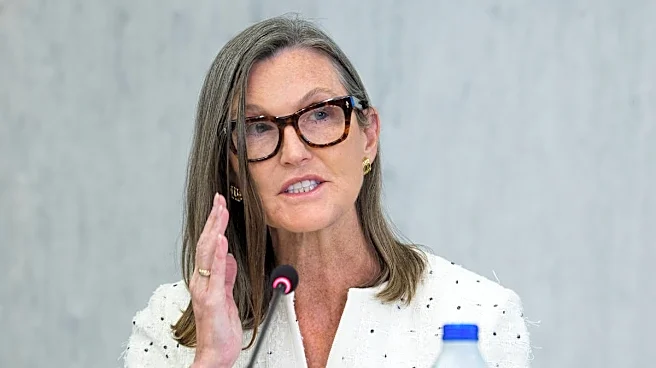Cathie Wood dumps $12.7M of tumbling, next-gen travel stock