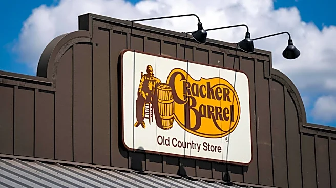 Veteran analyst drops scathing 2-word take on Cracker Barrel after controversy