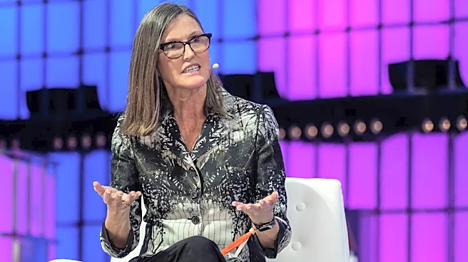 Cathie Wood buys $529.7 million of popular new stock