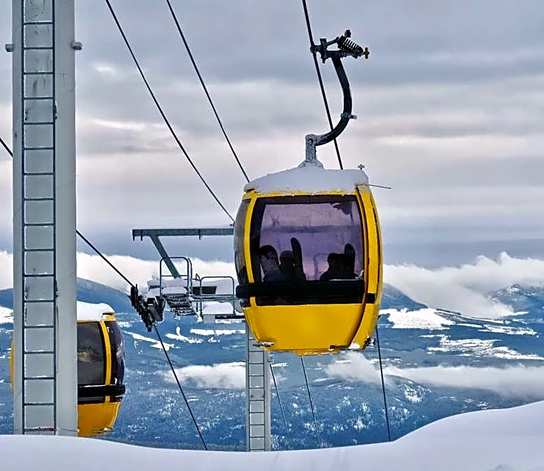 15-year-old travel company ends in bankruptcy, cancels all trips