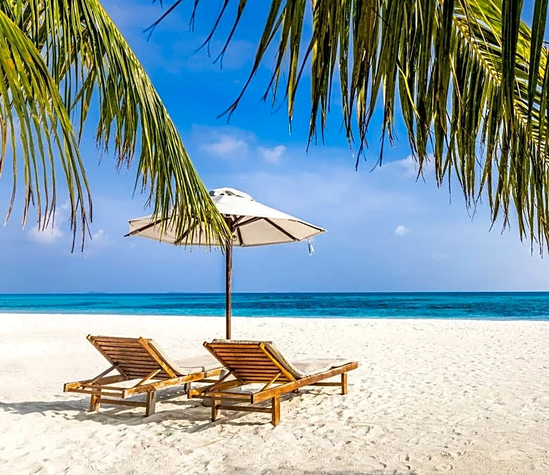 Another travel company shuts down, all trips off