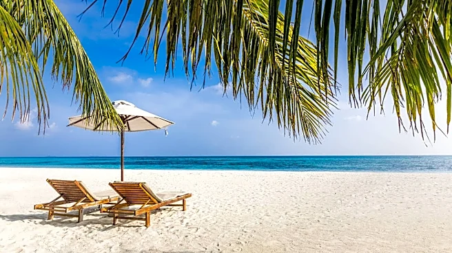 Another travel company shuts down, all trips off