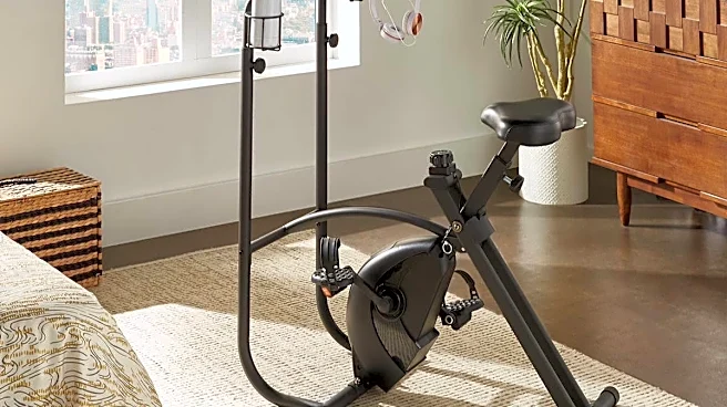 Why desk bikes are replacing walking pads for work-from-home exercise