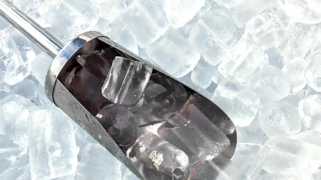 Ice makers are a kitchen investment that could save you over $200 a year
