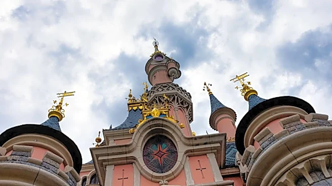 Walt Disney closes dozens of rides for disturbing reason