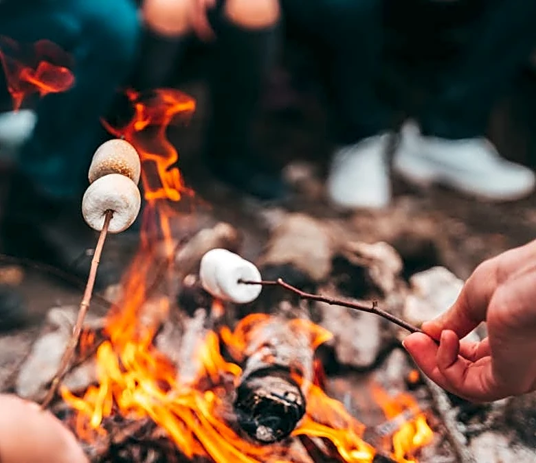 Another summer camp files for Chapter 11 bankruptcy