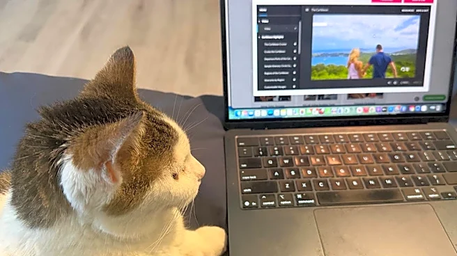 Petco pulls back on what Amazon and Chewy can't match