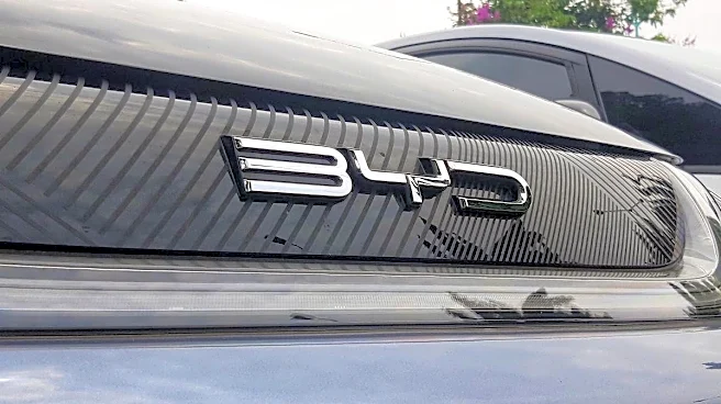 China's BYD sets audacious goal: Overtake Toyota by 2030