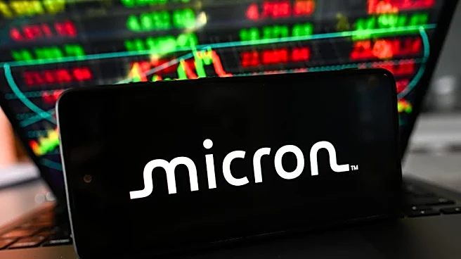 Who owns Micron Technology? A look at its top investors