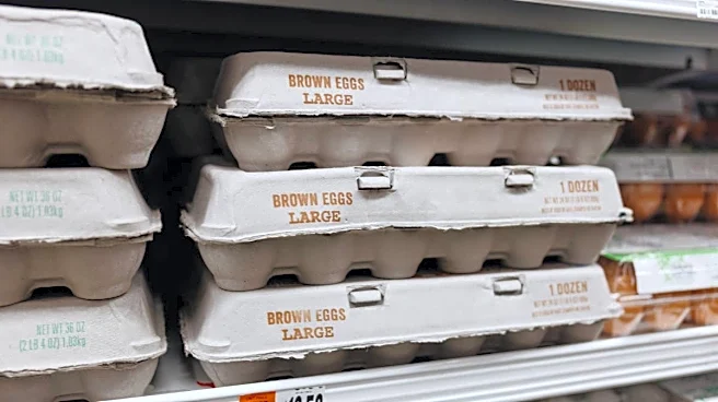 Feds allege your expensive grocery store eggs were rigged