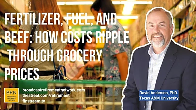 Fertilizer, Fuel, and Beef: How Costs Ripple Through Grocery Prices