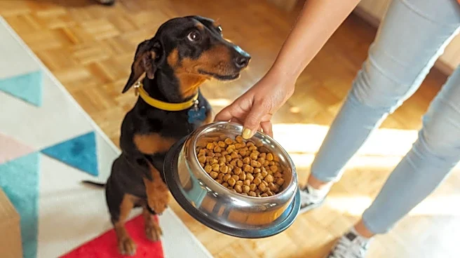 Popular dog food brand recalled over dangerous material