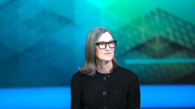 Cathie Wood buys $2.1M of tumbling AI stock