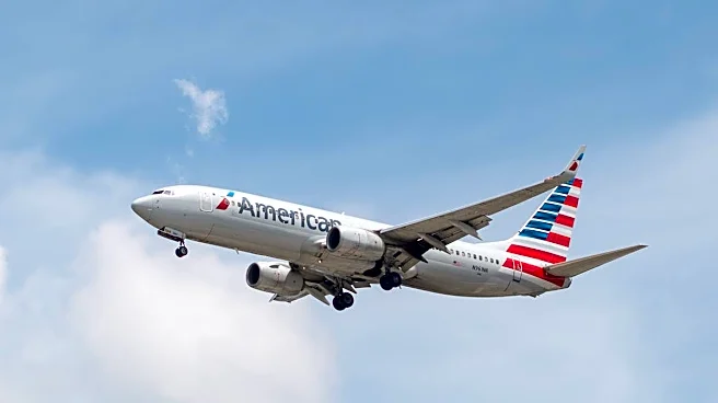 The bizarre reason Wall Street just downgraded American Airlines