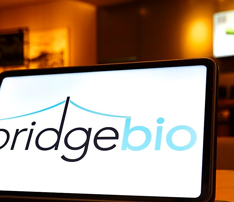 BridgeBio stock jumps after rival heart drug fails key trial