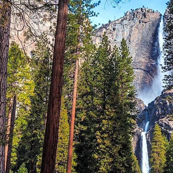Iconic hotel that serves as entry to national park files for Chapter 11 bankruptcy