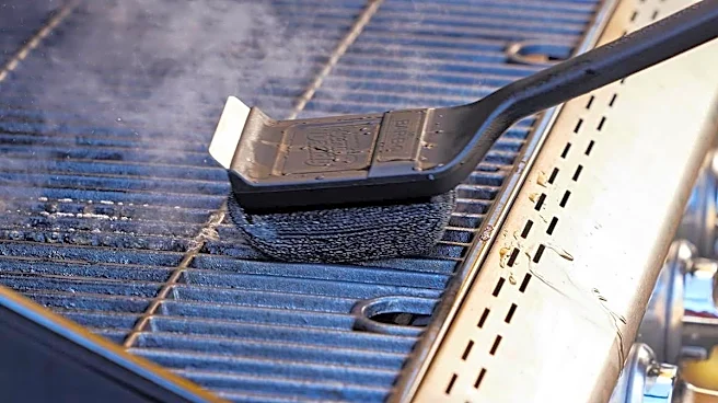 TikTok has buyers turning to Amazon's $20 grill brush to avoid a health scare