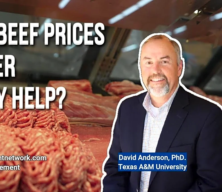 Predicting Beef Prices: Can Summer Seasonality Help?