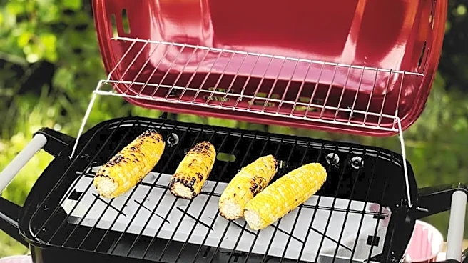 Electric grills are a flame-free, cheaper alternative with options starting as low as $68
