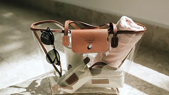 TikTok users face strict concert bag policies — we found options starting at $9
