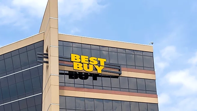 Best Buy's new CEO surprises investors with peculiar plan