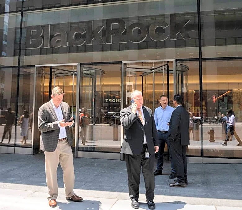 BlackRock names retirement safety net to beat outliving fear