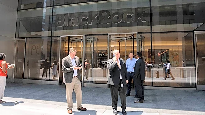 BlackRock names retirement safety net to beat outliving fear
