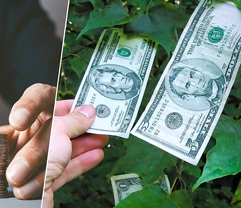 How smart investors use ETFs to legally bypass IRS wash sale rules