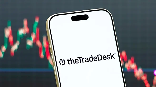 The Trade Desk crash exposed a much bigger problem