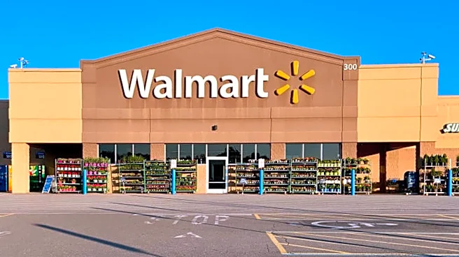 Hanes’ bestselling fleece hoodie is on sale for only $8 at Walmart
