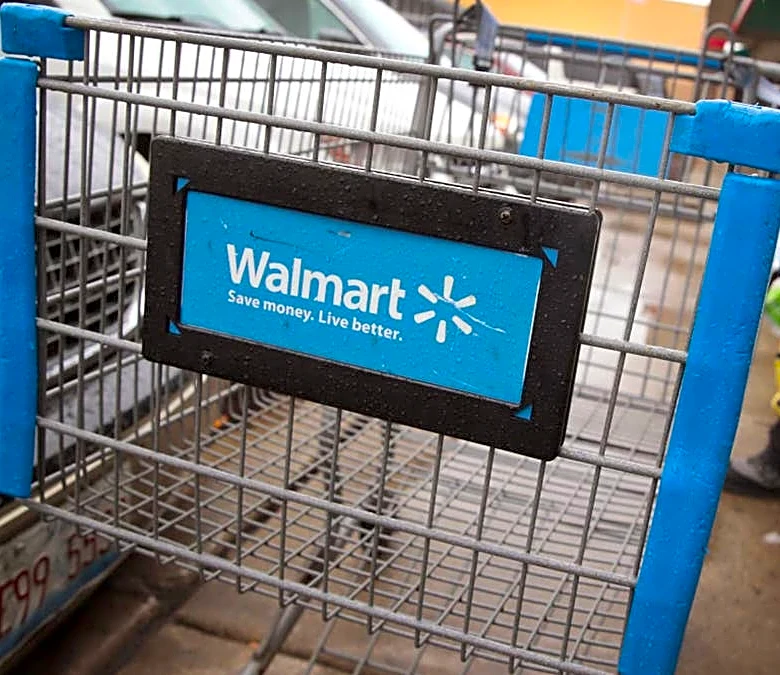 Walmart's $170 carport shades and protects your vehicle from bad weather