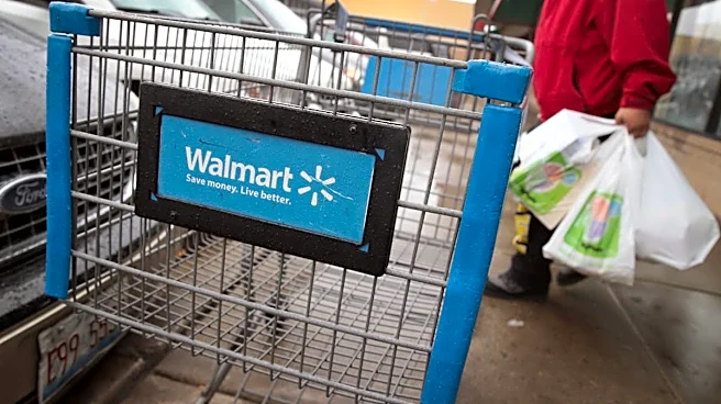 Walmart's $170 carport shades and protects your vehicle from bad weather