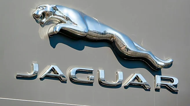 Jaguar’s woke rebrand just got a fresh admission