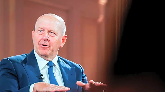 Goldman Sachs sees upside in a new industry