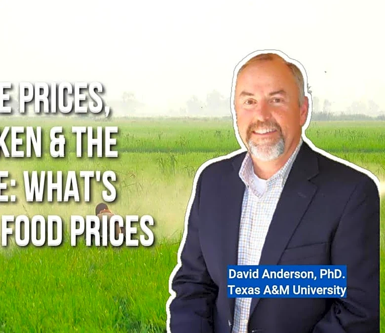 Record Cattle Prices, Cheaper Chicken&the Lettuce Scare: What's Really Happening to Food Prices