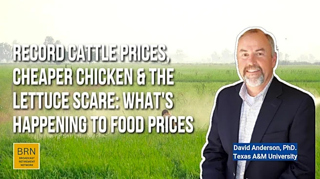 Record Cattle Prices, Cheaper Chicken&the Lettuce Scare: What's Really Happening to Food Prices