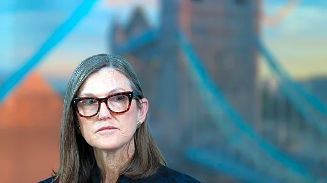 Cathie Wood buys $22.3 million of surging semiconductor stock