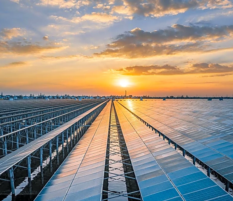 One company stands to gain as bankruptcy wave hits solar sector