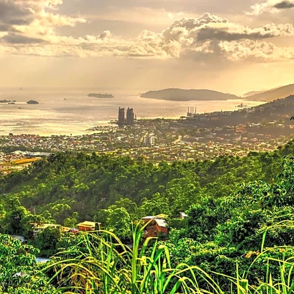 40-year-old international travel and cruise company cancels all trips