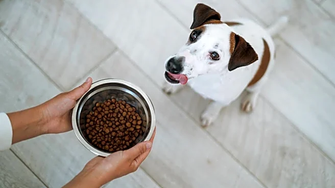 Dog food recalled after illnesses linked to salmonella