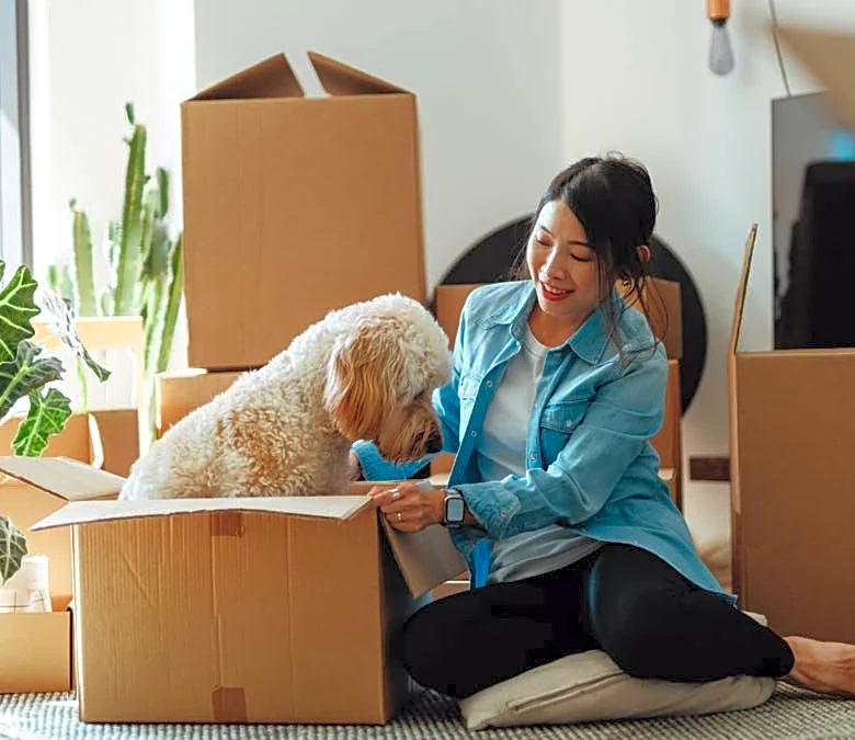 Dream of owning a home is slipping away for young Americans