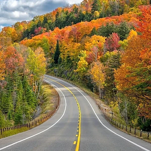 Now is the time to plan a fall leaf-peeping trip from NYC