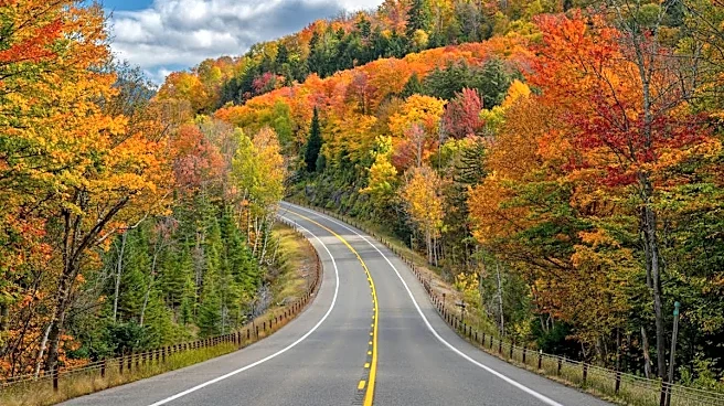 Now is the time to plan a fall leaf-peeping trip from NYC