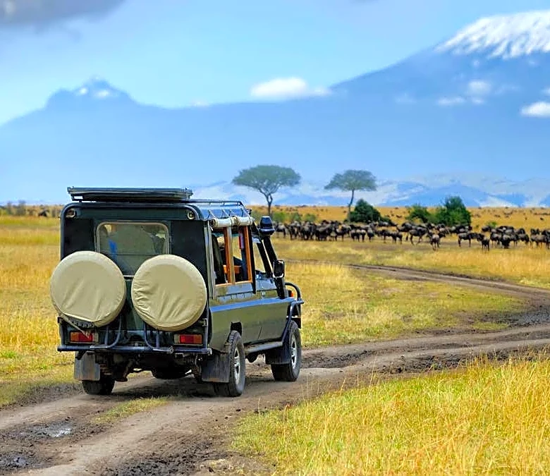 Popular luxury travel company shuts down, cancels all trips