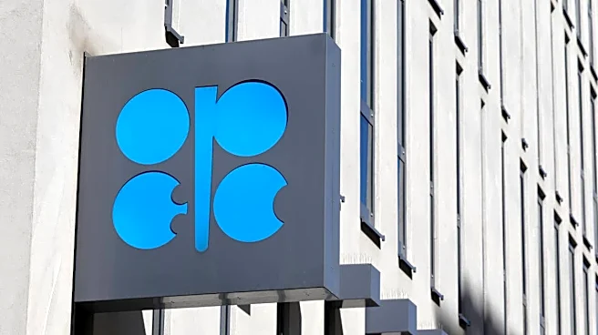 OPEC+ has lost control of the oil market