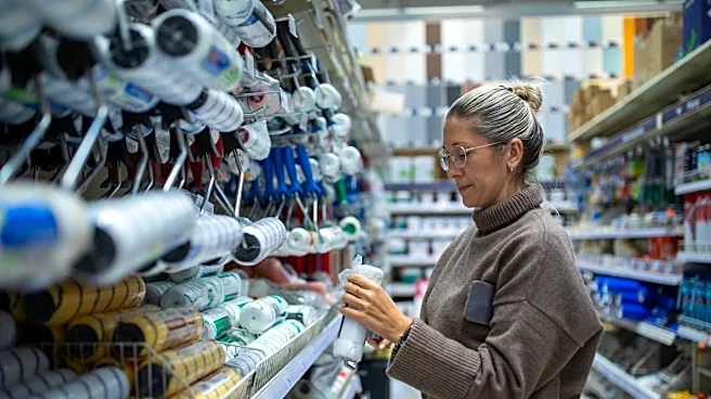 Michaels stocks up on products from bankrupt rival