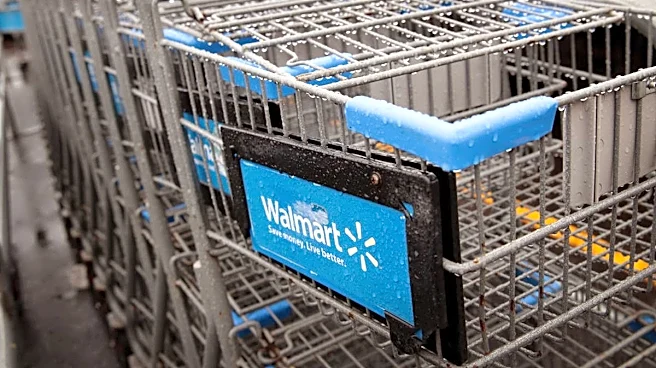 Walmart's fleece slippers with a terry cloth lining are on sale for $11