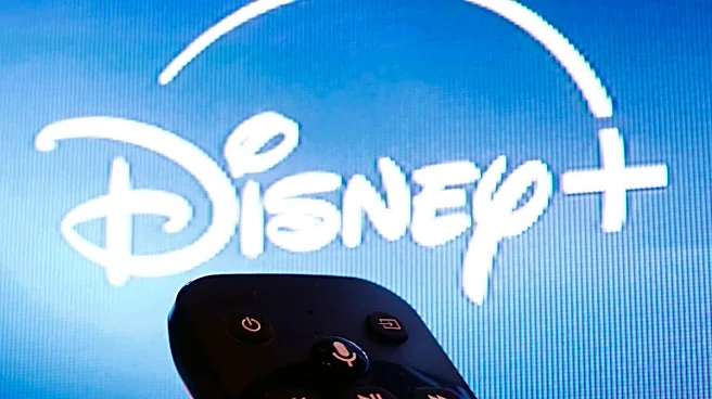 Disney+ delivers bad news to millions of subscribers