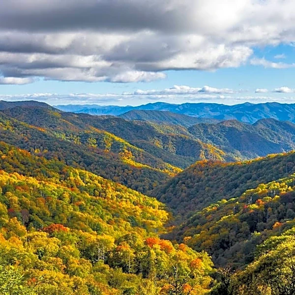 National park visitors first arrested for this crime in 2026